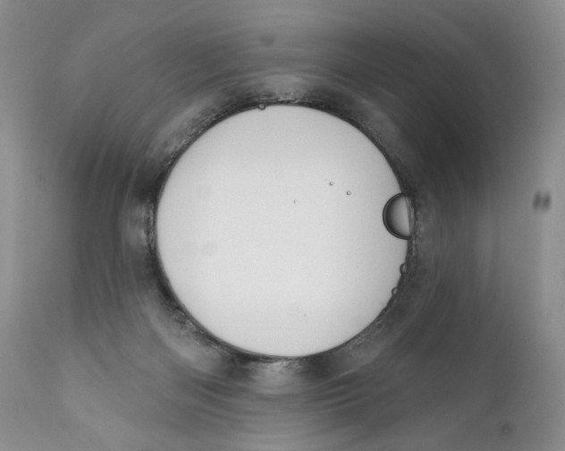 X0000110740122200907061016