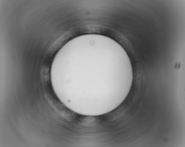 X0000110740123200907061016