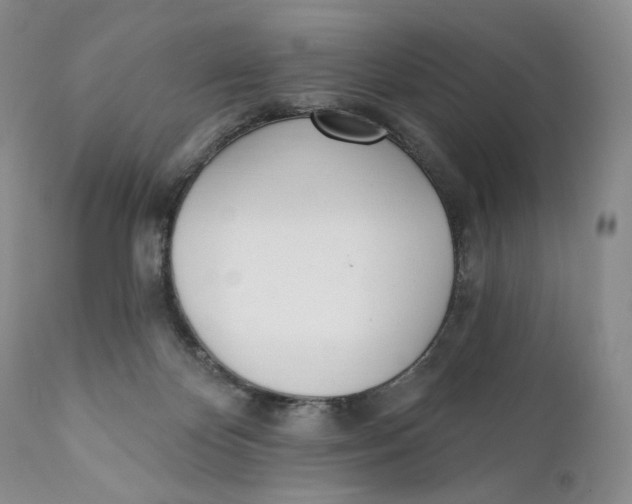 X0000110740124200907061016