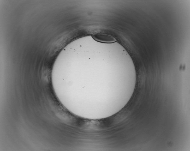 X0000110740125200907061016