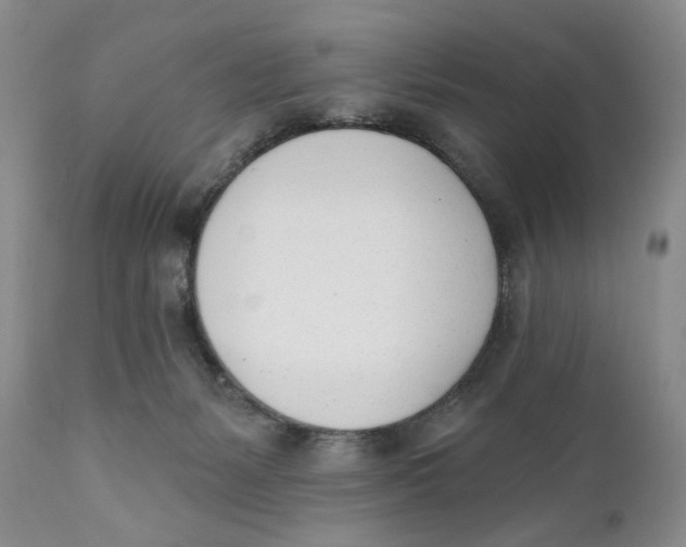 X0000110740127200907061016