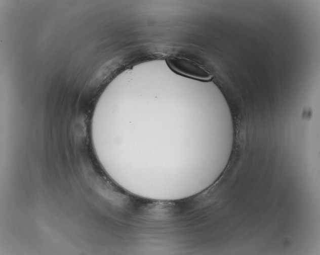X0000110740128200907061016