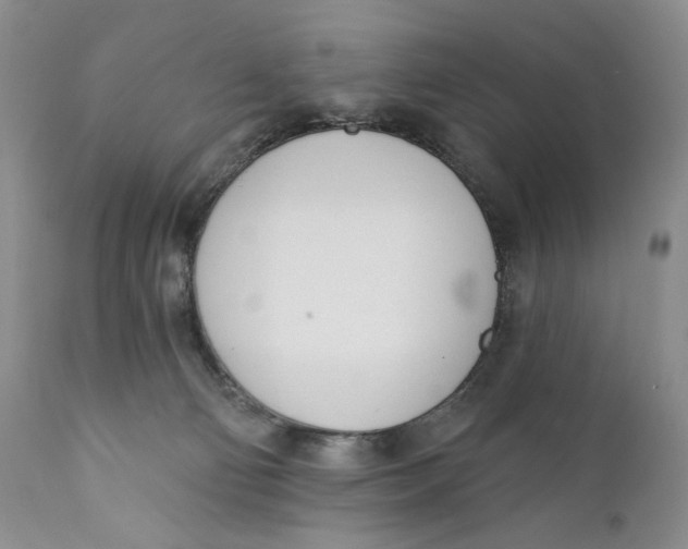 X0000110740130200907061016