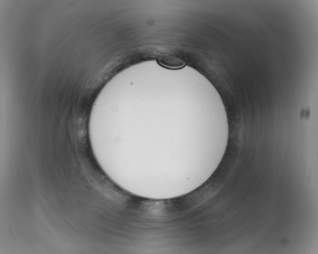 X0000110740131200907061016