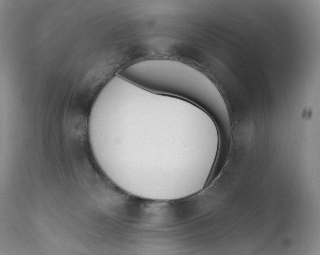 X0000110740132200907061016