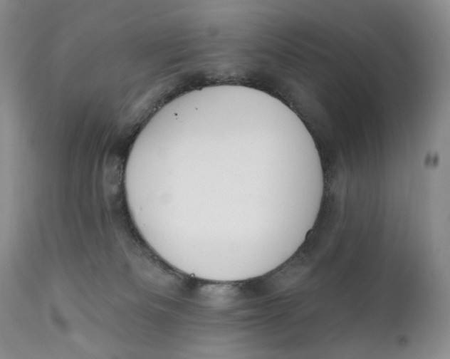 X0000110740133200907061016