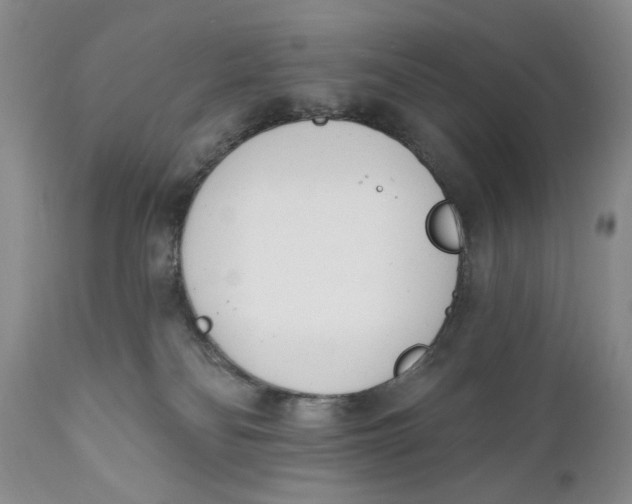 X0000110740134200907061016