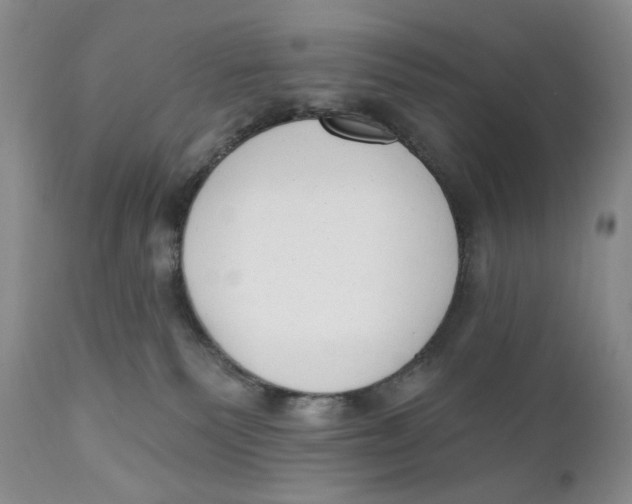 X0000110740135200907061016