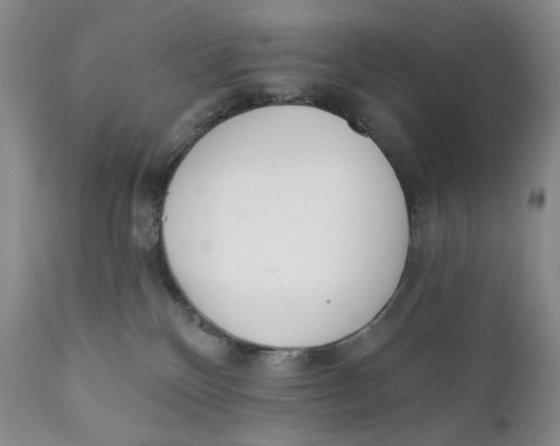 X0000110740136200907061016