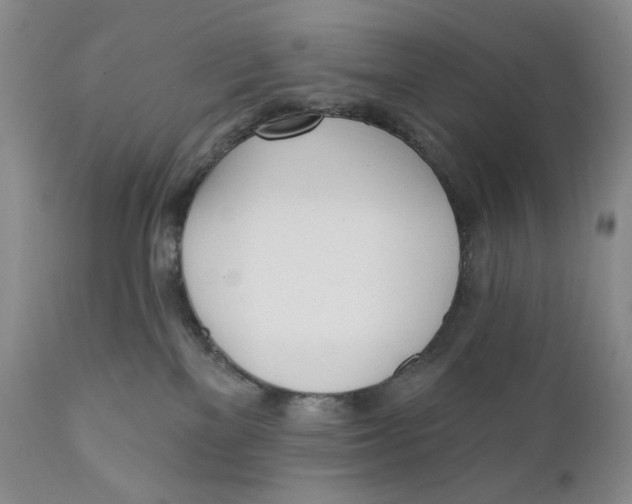 X0000110740137200907061016
