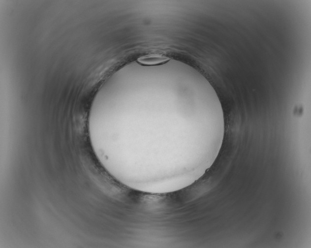 X0000110740139200907061016