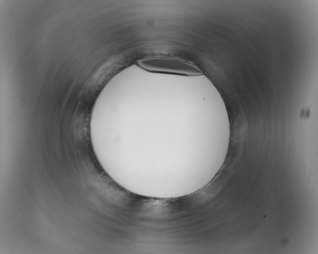 X0000110740140200907061016