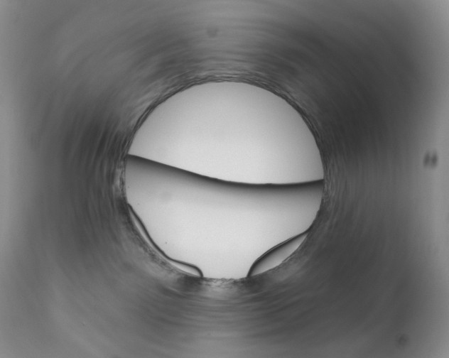 X0000110740141200907061016