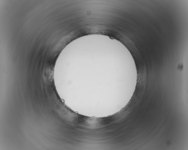 X0000110740142200907061016