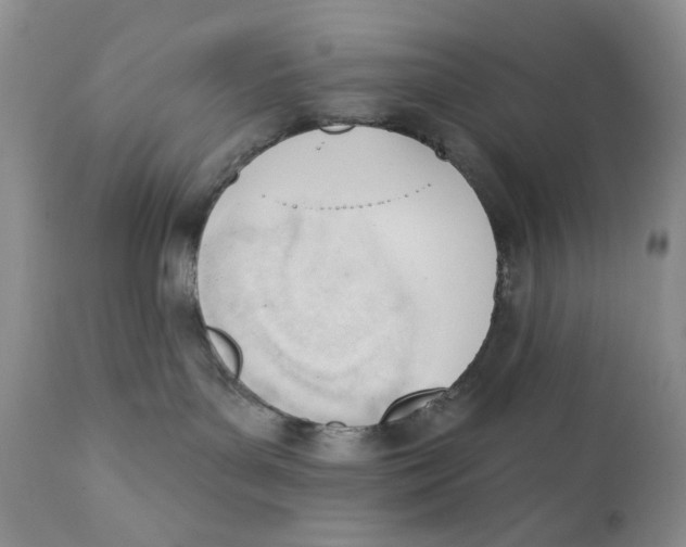 X0000110740143200907061016