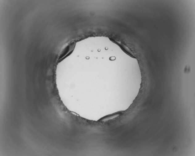 X0000110740144200907061016