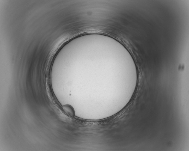 X0000110740145200907061015