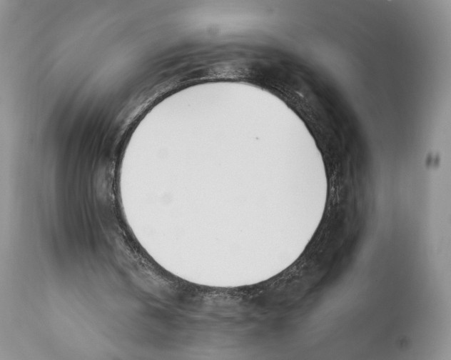 X0000110740146200907061015