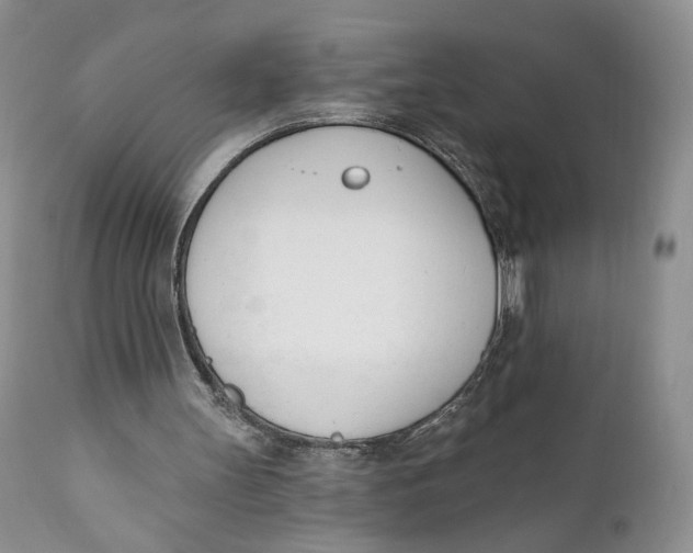 X0000110740147200907061015