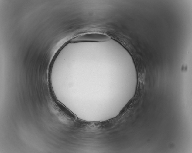 X0000110740148200907061015