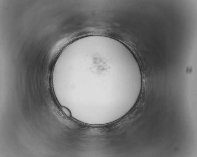 X0000110740149200907061015