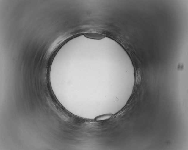 X0000110740150200907061015