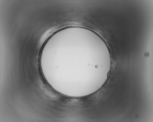 X0000110740151200907061015
