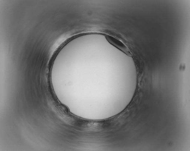 X0000110740152200907061015
