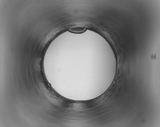 X0000110740154200907061015