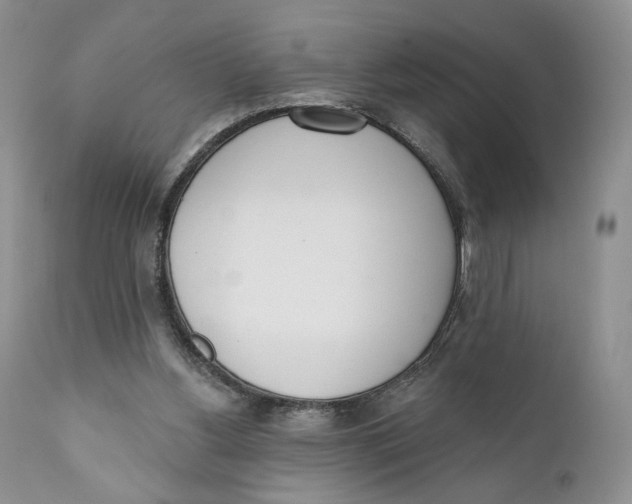 X0000110740156200907061015