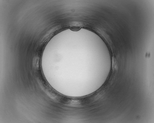 X0000110740157200907061015