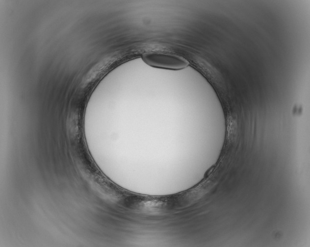 X0000110740158200907061015