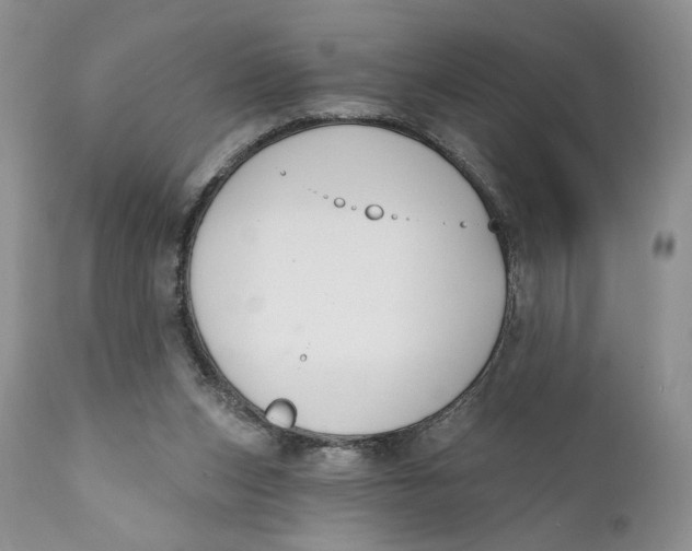 X0000110740159200907061015