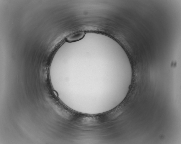 X0000110740160200907061015