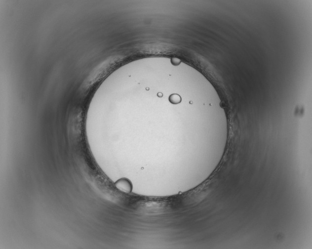 X0000110740163200907061015