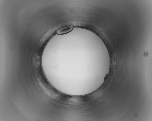X0000110740164200907061015