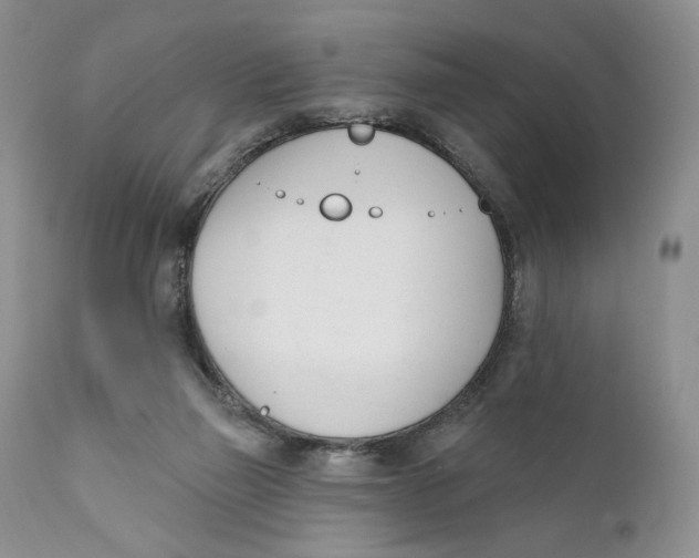 X0000110740165200907061015