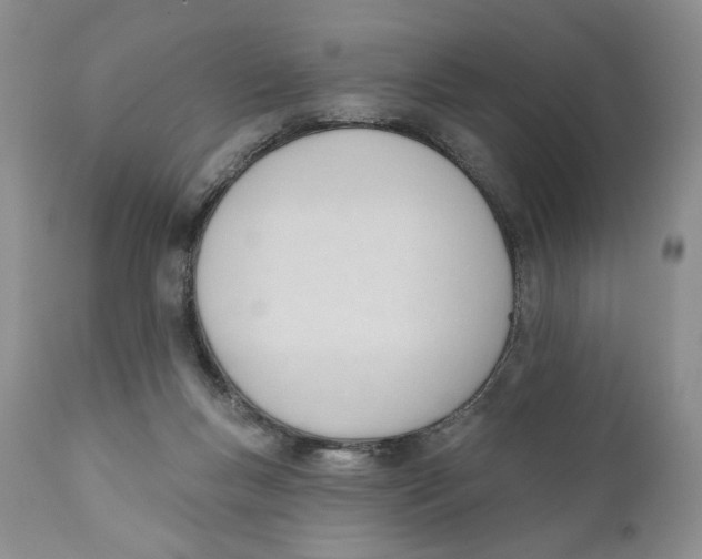 X0000110740167200907061015