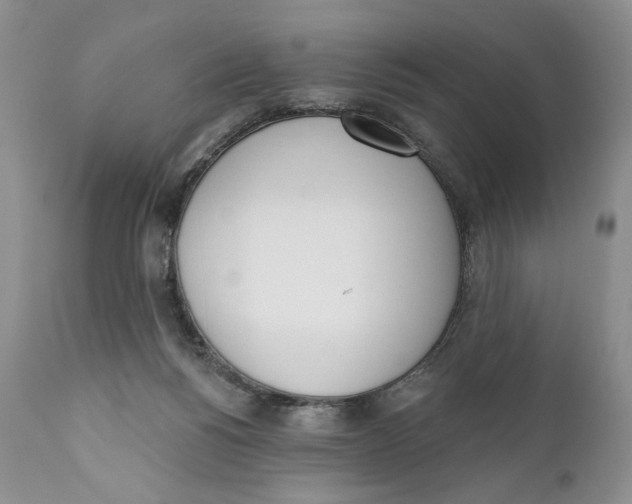 X0000110740168200907061015