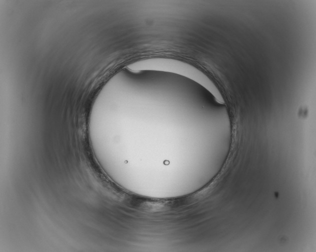 X0000110740170200907061015