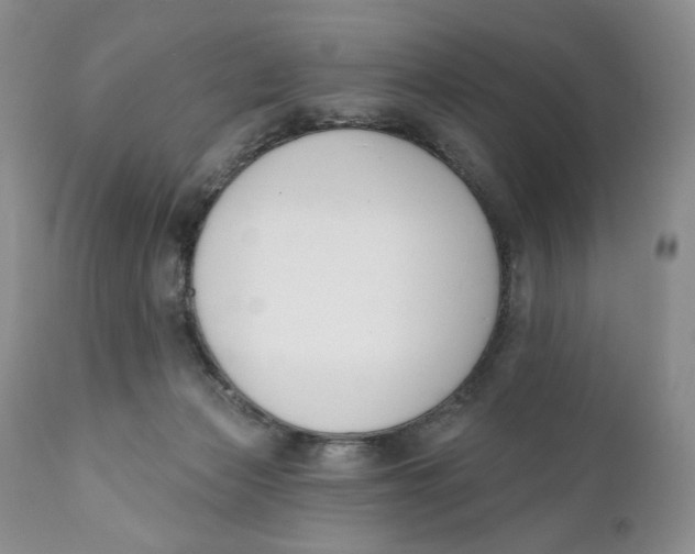 X0000110740173200907061015