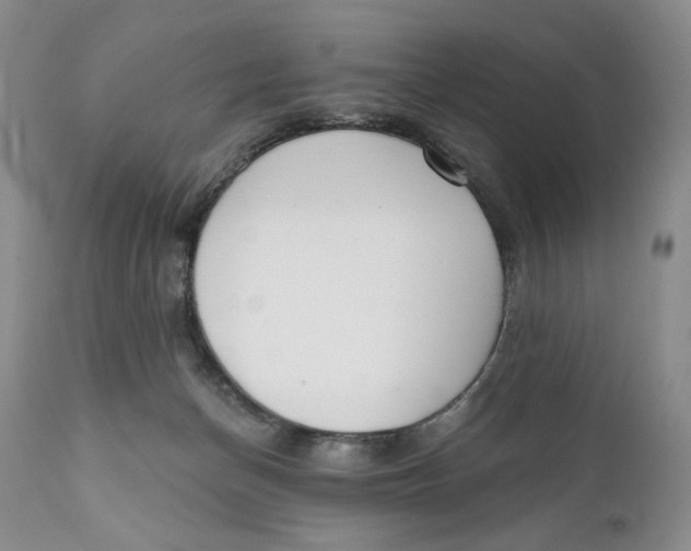X0000110740174200907061015