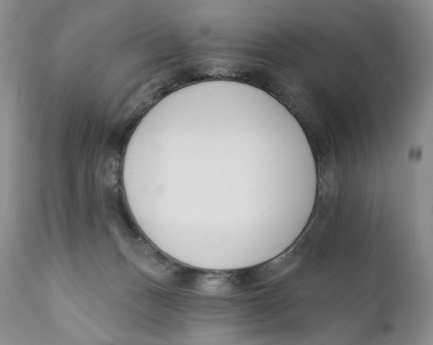 X0000110740175200907061015
