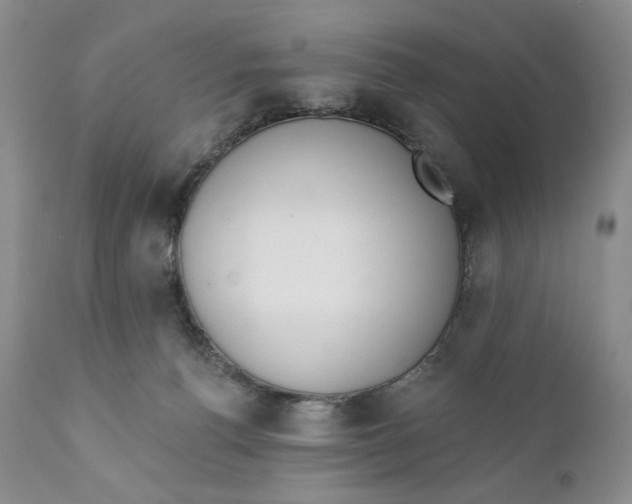 X0000110740176200907061015