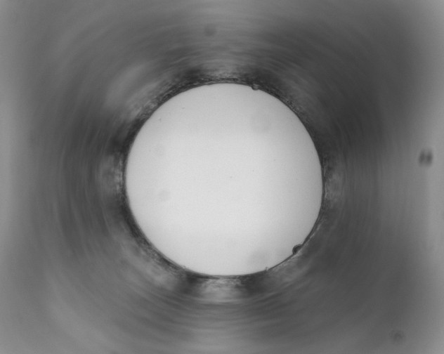X0000110740179200907061016