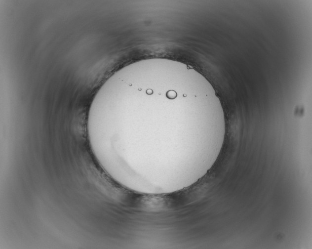 X0000110740181200907061016