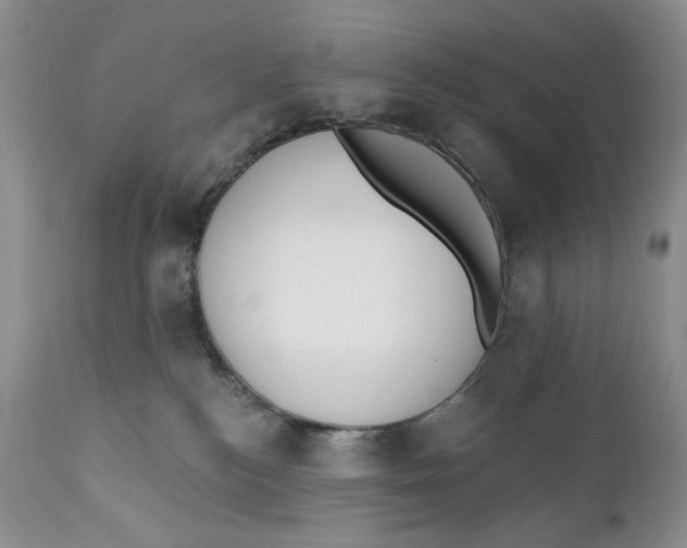 X0000110740184200907061016