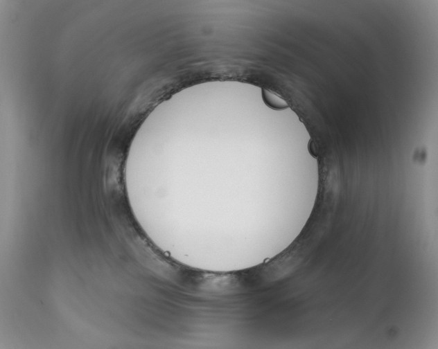 X0000110740185200907061016