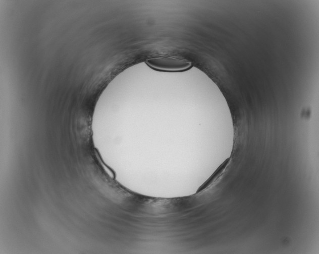 X0000110740186200907061016