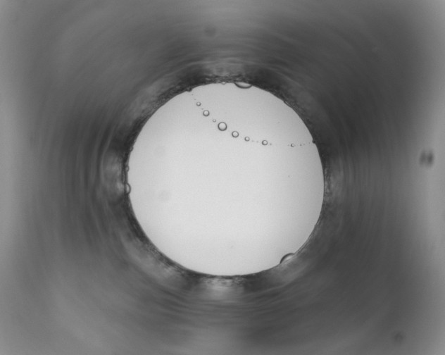 X0000110740187200907061016